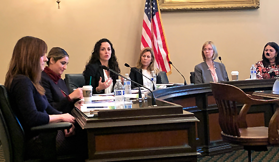 Early Edge executive Director Patricia Lozano speaks at the hearing.