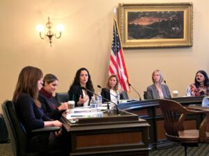 Early Edge executive Director Patricia Lozano speaks at the hearing.