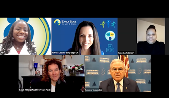 A screenshot of the virtual Congressional Briefing on Home Visitation